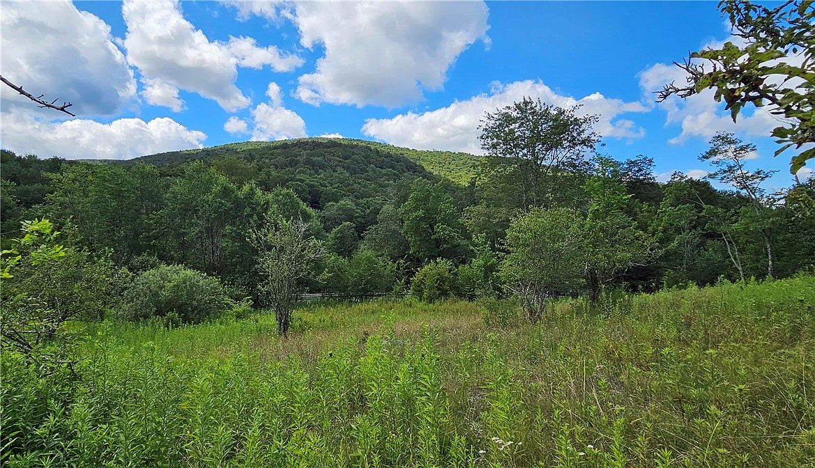 LOT 1 Tait Rd, Margaretville, NY 12455 MLS R1487507 Zillow