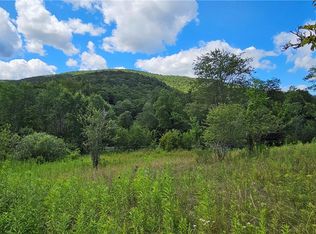 LOT 1 Tait Rd, Margaretville, NY 12455