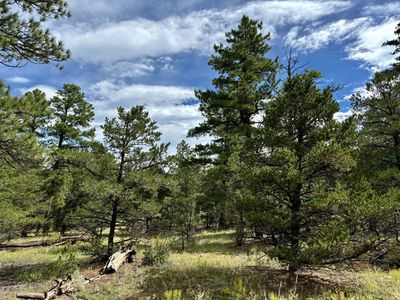 46 Kerr Ln, Cotopaxi, CO, 81223