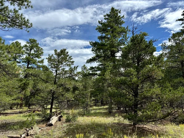 46 Kerr Ln, Cotopaxi, CO 81223