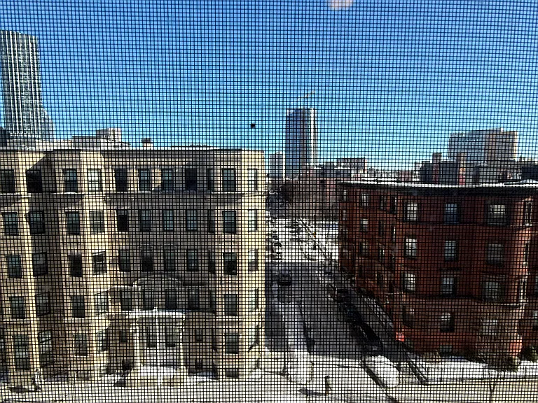 120 Hemenway St #1 — Photo 6