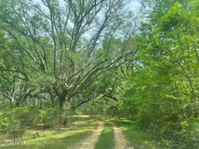 54 Alder Rd, Westville, FL, 32464