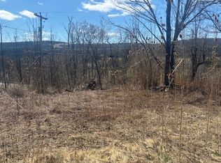 22 Cronk Rd #5, Candor, NY 13743