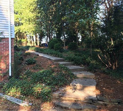 Front steps