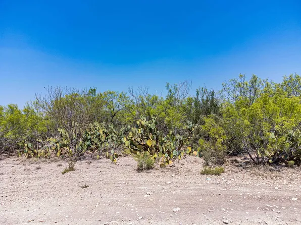 Abst 1835 Sur #66, Laredo, TX 78043