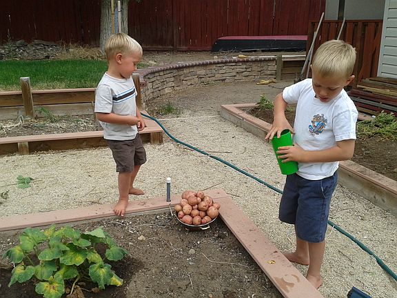 Back yard raised garden beds