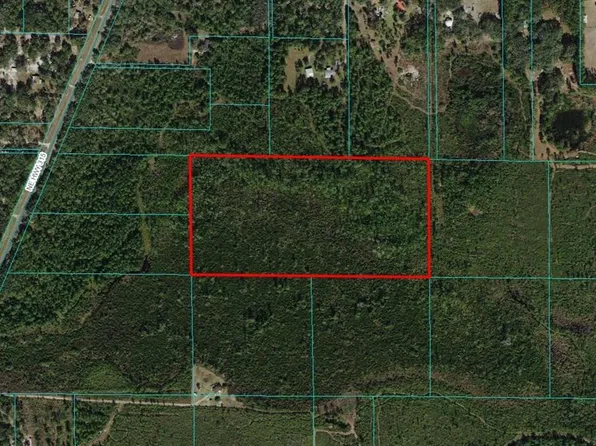NE Highway 315, Fort Mc Coy, FL 32134