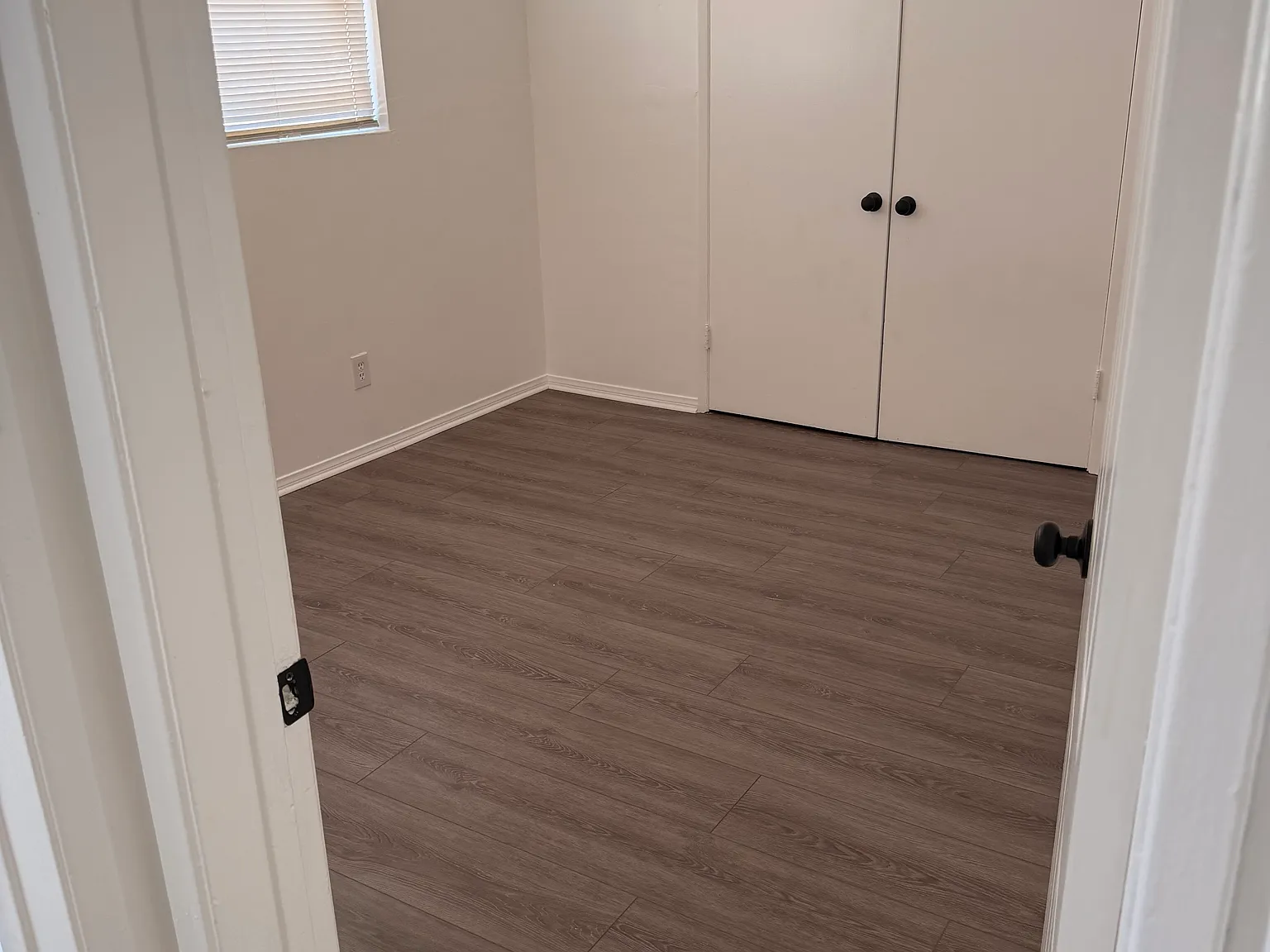 1 bed, $1,650 — Photo 4