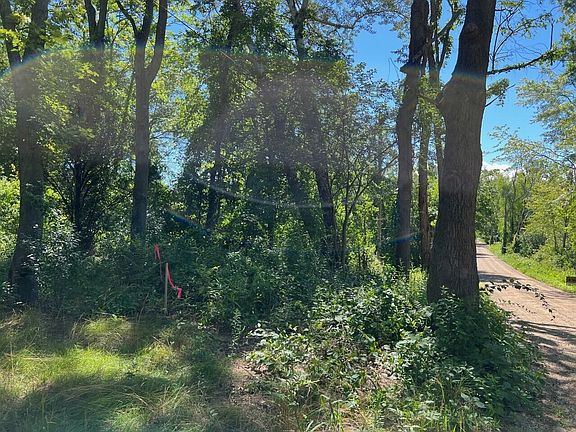 3rd image of 13713 El Dorado Blvd