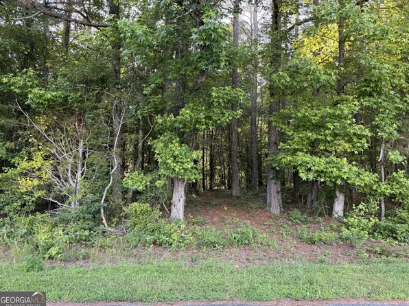 0 Wildcat Rd, Buchanan, GA 30113
