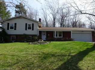 7721 Skylineview Dr, Concord Township, OH 44060