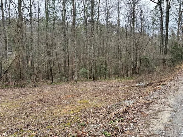 458 Charlottes Web Dr #19, Ellijay, GA 30540