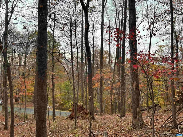355 Stone Chimneys Rd, Nellysford, VA 22958