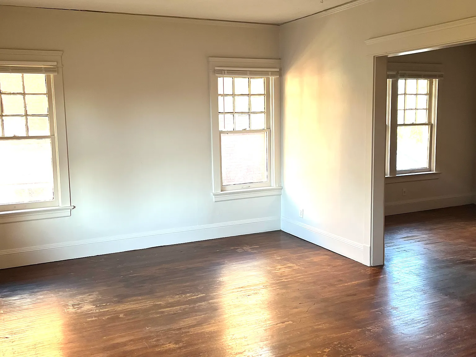 1 bed, 1013 sqft, $895 — Photo 2