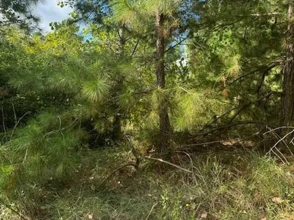 LOT 1338 Tahitian Dr, Bastrop, TX 78602