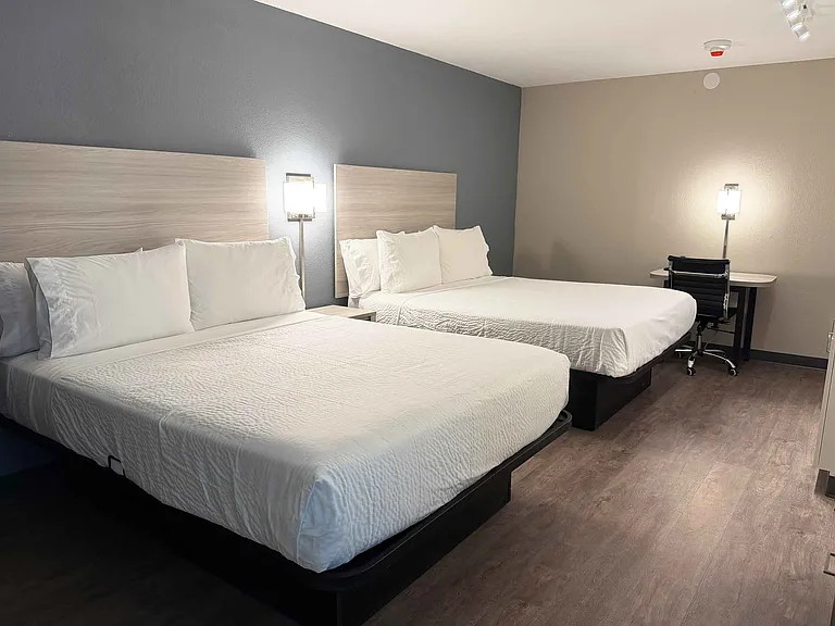 Studio Suite - 2 Full Beds