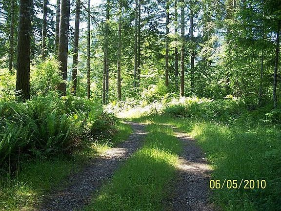 access to Lake Merwin beach