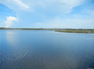 12455 W Battle Creek Dr, Homosassa, FL 34448