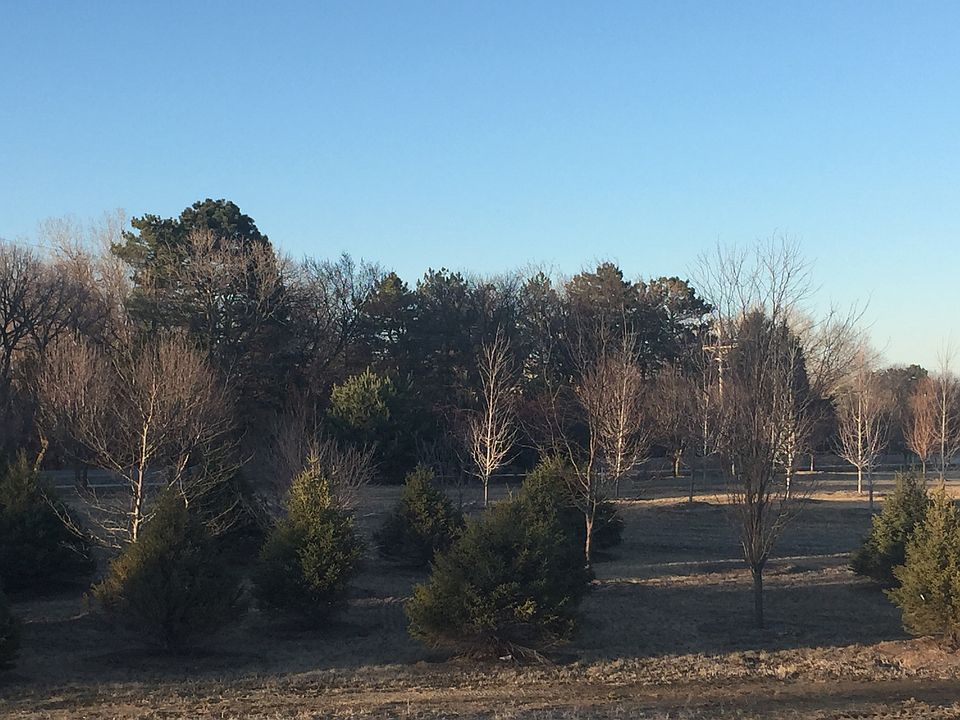 1st image of 1602 S 221st Cir