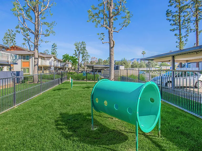 Aspire Redlands — Photo 7