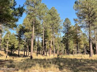 7337 Forest Ln #122-1B, Happy Jack, AZ 86024