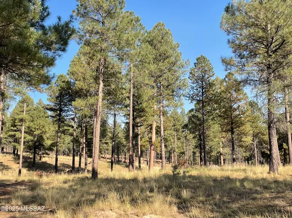 7337 Forest Ln #122-1B, Happy Jack, AZ 86024