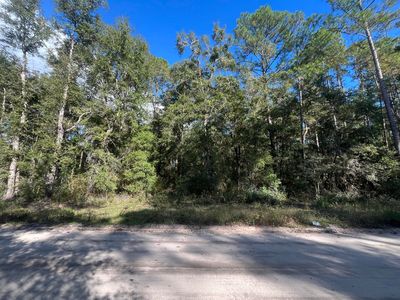 Tbd Rutland Road, Crawfordville, FL, 32327