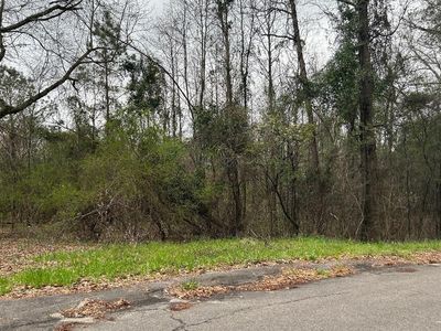 84 Bay St, Beech Island, SC, 29842