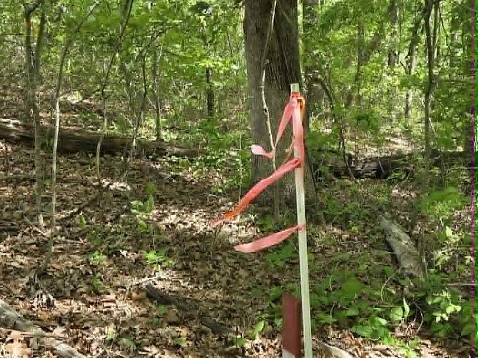 2nd image of 10 Keating Loop