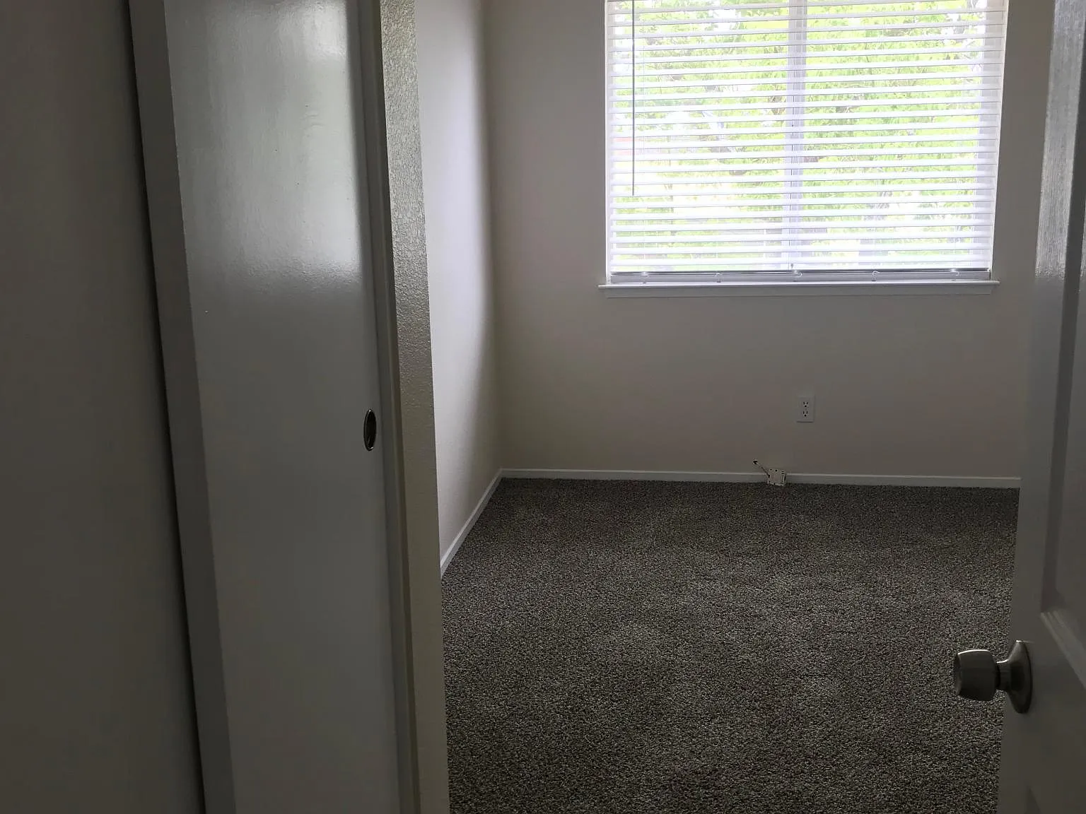 4 bed, 1705 sqft, $3,400 — Photo 4