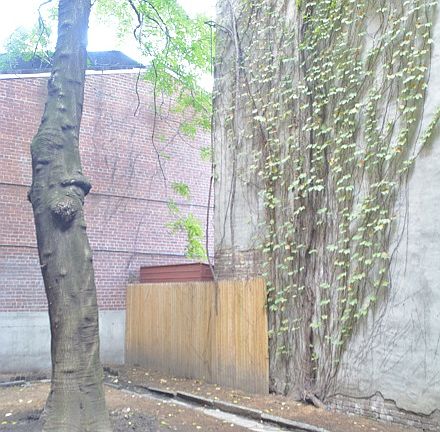 4th image of 339 E 19th St #1BB
