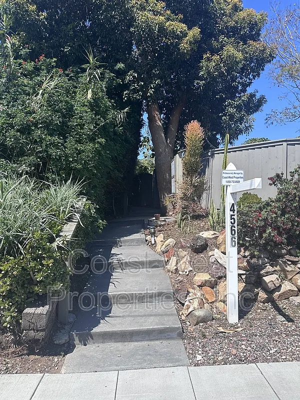 2 bed, 2.0 bath, 700 sqft, $2,350 — Photo 2