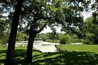 Money Shot of Back Yard