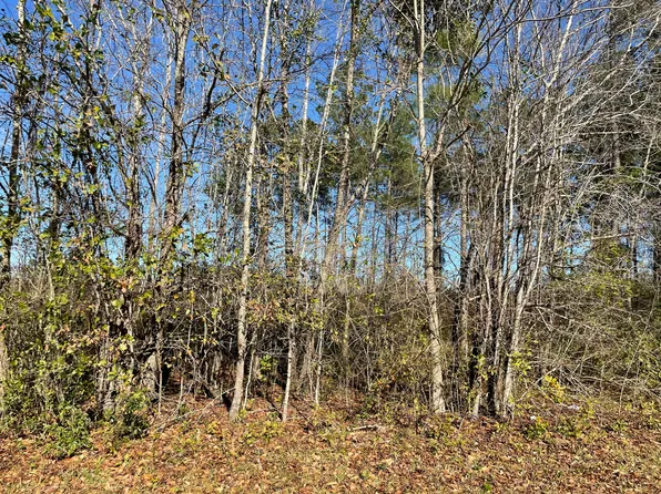 4 Dotson St, Harleyville, SC 29448