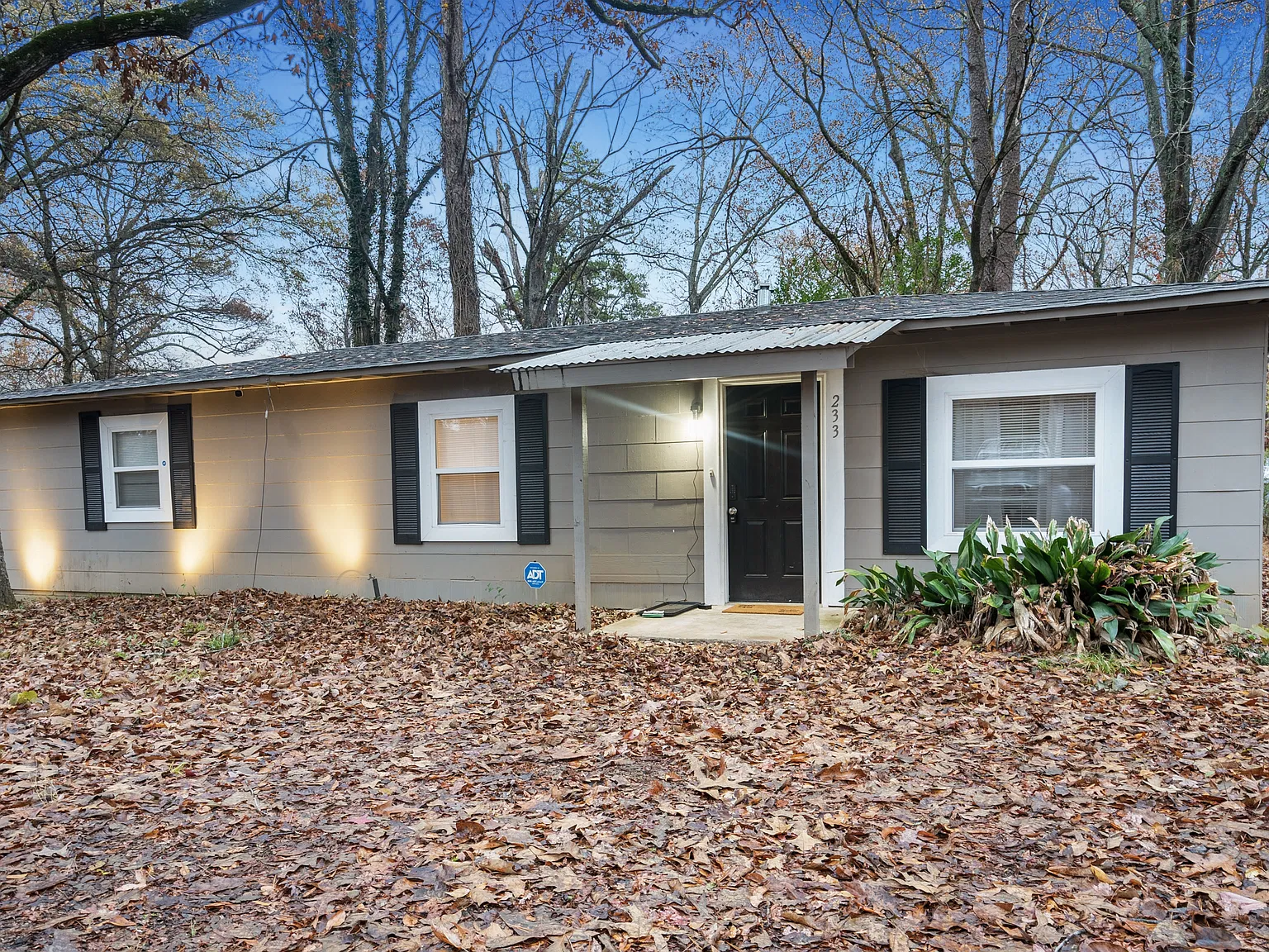233 Tucker Avenue - 1 — Photo 1