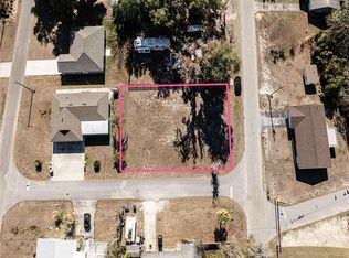 0 County Road 446 LOT 1, Lake Panasoffkee, FL 33538