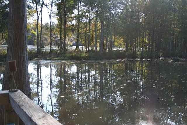 2nd image of 1270 Drayton Loop