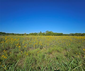 LOT 29 Phillips Ct, Decatur, TX, 76234