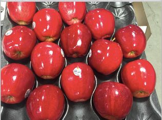 31 Trails End Rd, Palisades, WA 98845