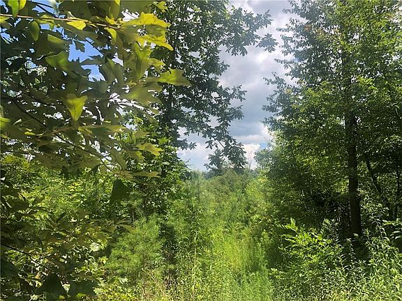 2nd image of 0 Hammontree Dr Lot 0