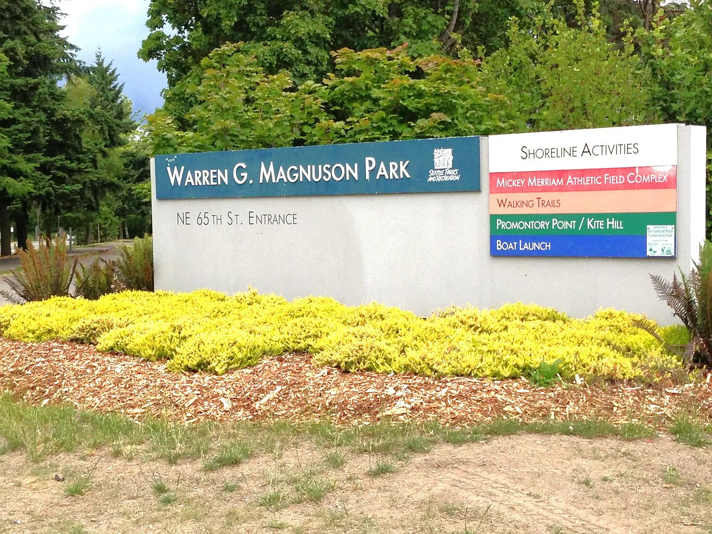 Ivanhoe — Photo 4