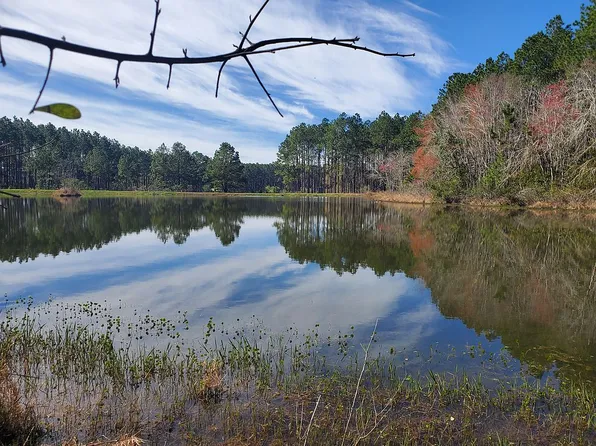 351 Southern Lakes Dr, Arabi, GA 31712