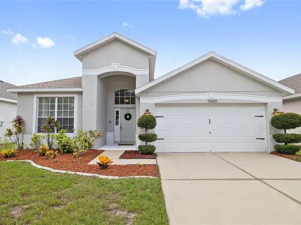 11009 Silver Dancer Dr, Riverview, FL 33579