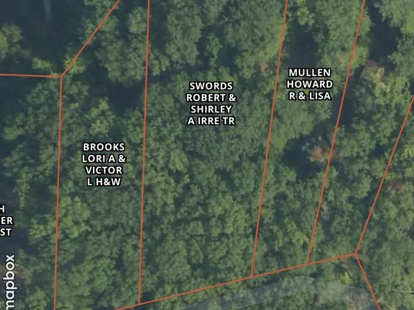 9820 W Harper Dr, Irons, MI 49644