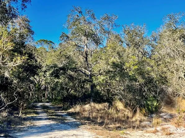 TBD NE 235th Ave, Cross City, FL 32628