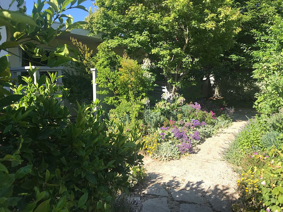 pathway to house