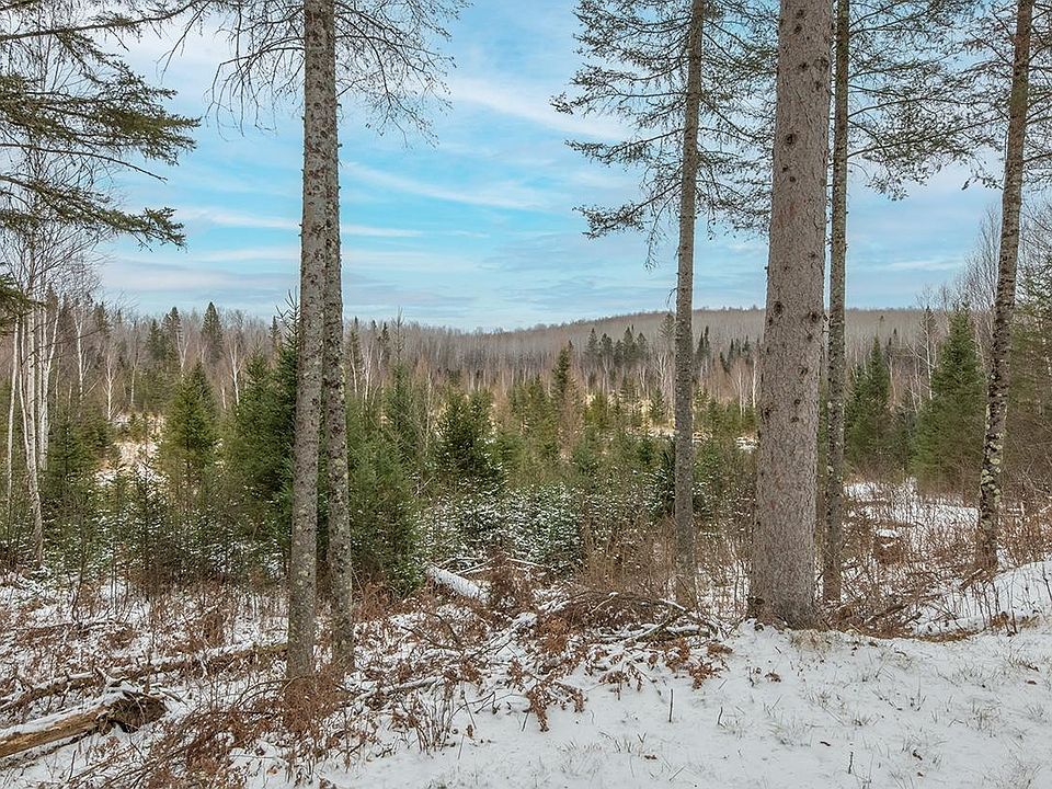 953 Trouten Ct, Laona, WI 54541 Zillow