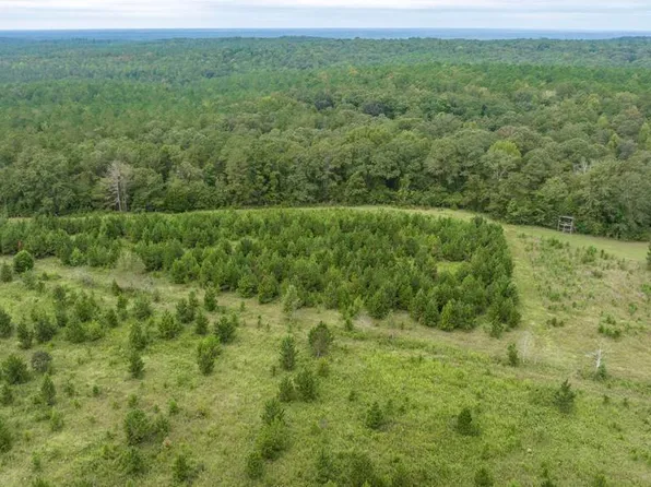 1636 Tribble Rd, Fort Valley, GA 31030