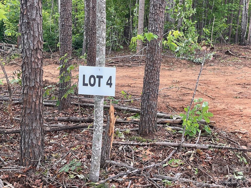 1st image of Vein Mountain Rd #4