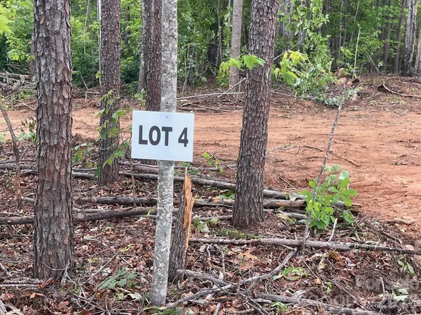 Vein Mountain Rd #4, Nebo, NC 28761